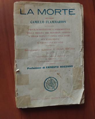 spiritismo morte reincarnazione libro antico