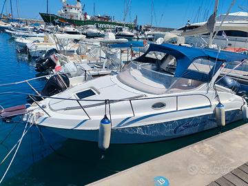 barca saver 690 cabin