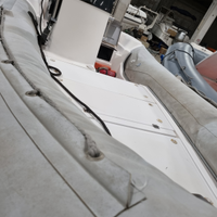 Predator 4.90 Mercury 40 cv