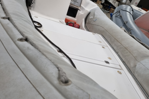 Predator 4.90 Mercury 40 cv