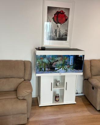 Juwel Rio 180 acquario
