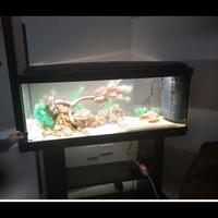Acquario 100 L