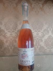 bottiglia da collezione grappa chanerton