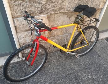 Bicicletta mountain bike cambio veloce ruote