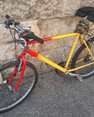 Bicicletta mountain bike cambio veloce ruote