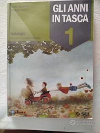 Gli anni in tasca