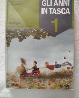 Gli anni in tasca
