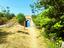 Immagine 26