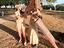 Immagine 1