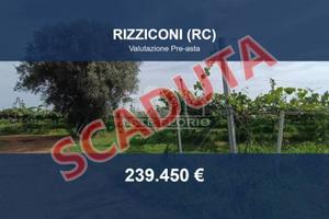 Immobile in asta di 92757 m² a Rizziconi