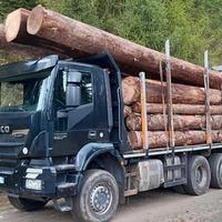 Camion Tronchi