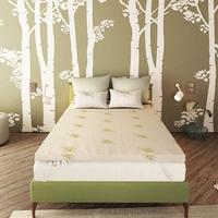 Topper Materasso in Memory Fresh Aloe 160x190x6