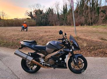 Aprilia Tuono/Rsv  1000 Figther