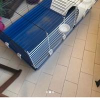 Gabbia per conigli