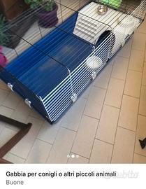 Gabbia per conigli
