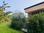 Immagine 29
