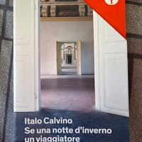 Se una notte d’inverno un viaggiatore