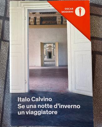 Se una notte d’inverno un viaggiatore