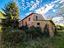 Immagine 7