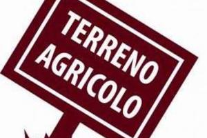 Terreno Agricolo mq 2000