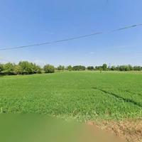 a Lonato del Garda Terreno Agricolo Irriguo di 11.