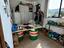 Immagine 6