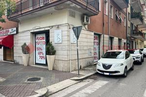 Negozio Cassino [LARGODANTELUACG]