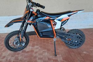 Pitbike 1000w 