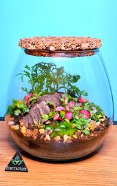 terrarium 