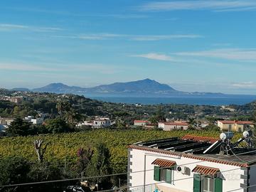 Monteruscello Parco Sereno, mq 100 panoramico