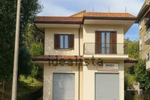 Singoli appartamenti o intero immobile con negozio