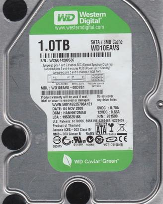 Western Digital WD10EAVS Hard Disk interno 1 TB