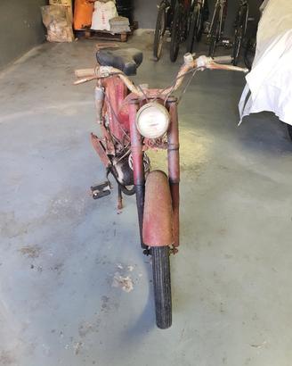 Ciclomotore Peripoli Giulietta