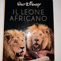 libro Walt Disney 1956 il leone africano 