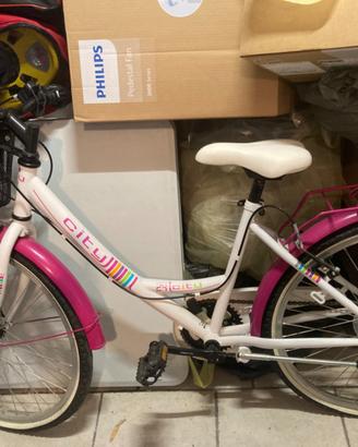 Bicicletta