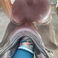 sella da salto + staffe di sicurezza