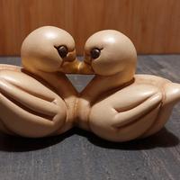 Coppia di Cigni Thun