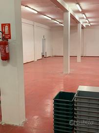 Magazzino 700 mq con uffici accesso camionabile