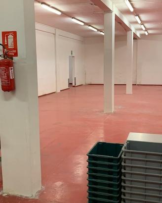 Magazzino 700 mq con uffici accesso camionabile
