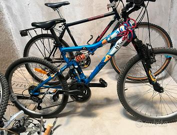 Bicicletta ragazzo 24