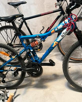 Bicicletta ragazzo 24