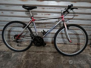 Bici mountain bike