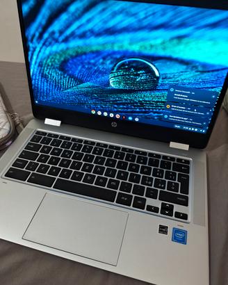 HP Chromebook