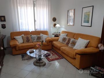 Coppia di divani “Dondi” color Ocra in microfibra