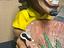 Immagine 4