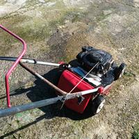 taglia prato tutti benzina i prezzi cambiano 