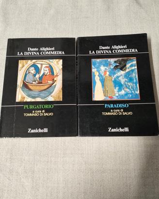 purgatorio e paradiso 