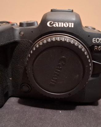 canon r6 