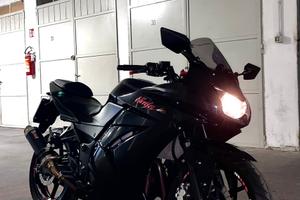 Kawasaki ninja 250r