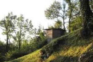 Appostamento fisso - Posto di caccia - baita